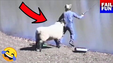 😂 FUNNY GOAT IN ATTACK TO DIE FROM LAUGHING! 🐐 😂