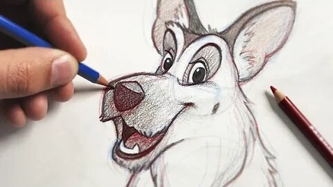 PREVIEW The Ultimate Animal Drawing Course – beginner to advanced