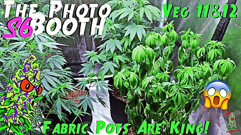 The Photo Booth S6 Ep. 7 | Veg 11 & 12 | Fabric Pots Are King!