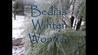 Bedias Winter Wonder