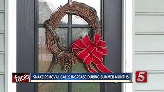 Snake Removal Calls Increase During Summer Months