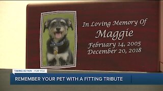 New pet memorial center in Franklin helps pet owner say goodbye to their 'loyal paws'