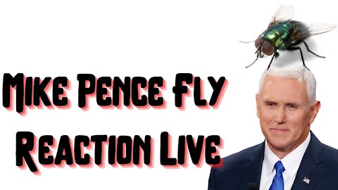 Fly Lands On Vice President Pence's Head (Funny Reaction)
