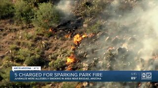 Five charged for sparking 'Park Fire'