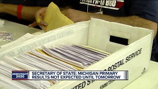 Metro Detroit voters flock to polls for presidential primary