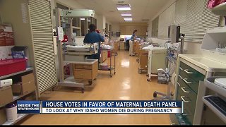House votes in favor of maternal death panel