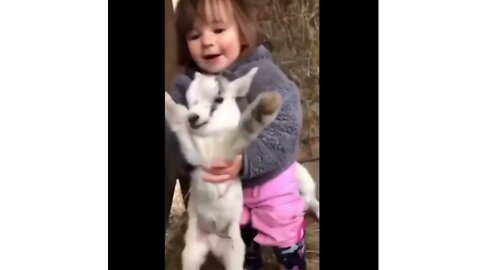 Cute baby animals Videos Compilation cute moments of the animal's Cutest Animals #shortvideo #viral