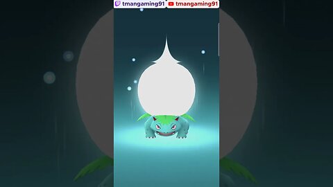 Pokémon GO-Venusaur Mega Evolution