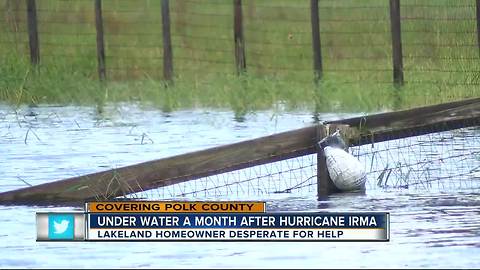 Lakeland still underwater after Hurricane Irma