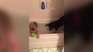 Cute Puppy Takes A Bath