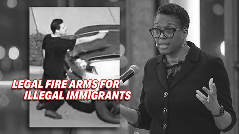 ILLINOIS JUDGE DECLARES ILLEGAL ALIENS CAN LEGALLY BEAR FIRE ARMS