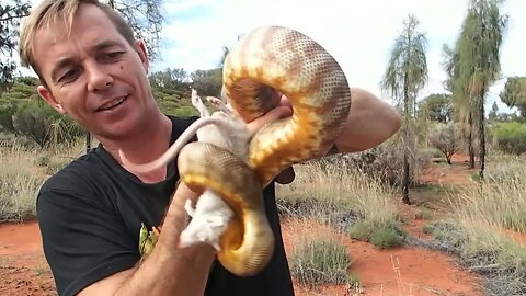 Snake Feeding Challenge!NOT one of my better ideas?! 🤣🐍 #snakebite