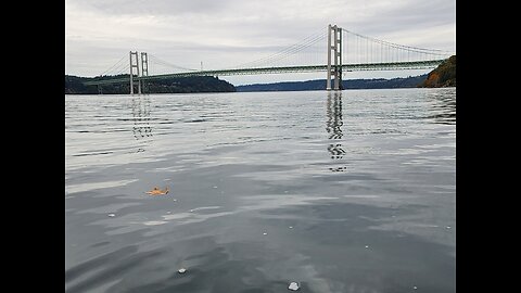 TACOMA BRIDGE. Tacoma Washington