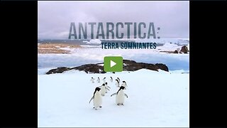Antarctica Terra Somniantes / 2020