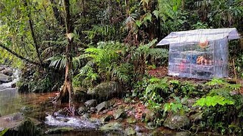 Solo camping in heavy rain using plastic wrap-asmr | Solo camping bushcraft