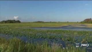 EPA grants Florida wetlands permitting authority; environmentalists oppose