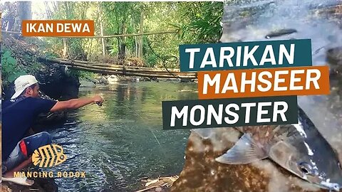 KAGET !!? Pancing disambar MAHSEER MONSTER si Ikan DEWA Joran sampai melengkung ke Dasar Sungai