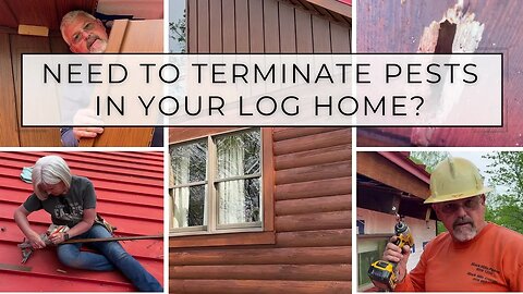 Rescuing this Log Home from Carpenter Bees with TruLog Siding Reface!