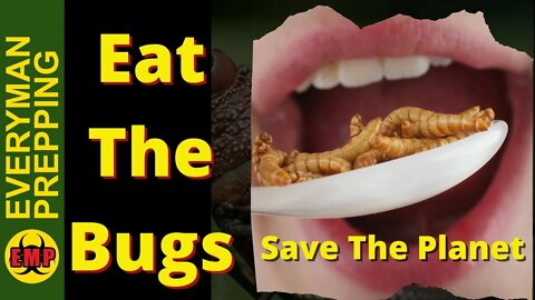Do This So You Don't Have to Eat Insects!
