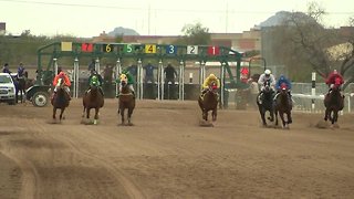Horse racing at Rillito back on track and Absolutely Arizona