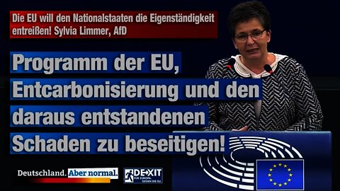 Die EU will den Nationalstaaten die Eigenständigkeit entreißen! Sylvia Limmer, AfD
