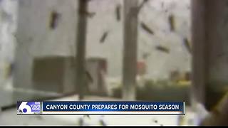 Canyon County expecting average mosquito year