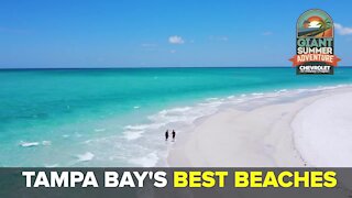 Tampa Bay's Best Beaches | Giant Summer Adventure