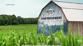 Busch Light wants to paint something on your barn