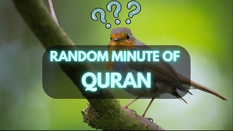 Random Minute Quran , Random Minute islamic Lecture , Random Minute islam ,