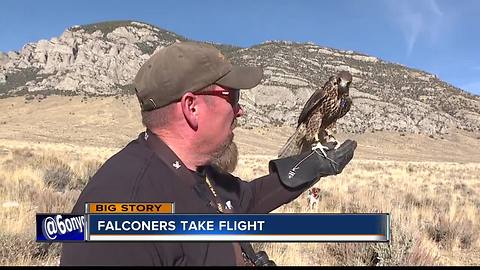 Falconry a 4,000-year-old sport thrives in Idaho