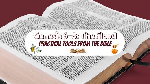 Noah's Ark and The Flood Bible Study | Genesis 6-8 | Patience, Wisdom, Endurance and Abundance