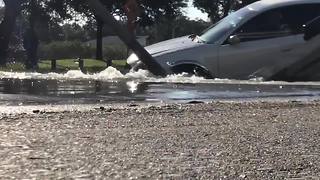 Car crashes into light pole and fire hydrant in St. Pete, all traffic diverted