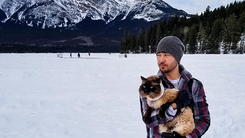 Unique cat loves to walk with leash