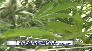 Michigan voters to decide on legalizing recreational marijuana