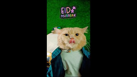 Famin Says Eid Mubarak 🌙😻🐾 To Everyone