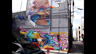 Murals transform Hillcrest alleyway, string lights now going in