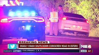 Deadly head-on collision kills two people in Estero