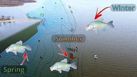 Crappies and Bass on Grubs #fishing 