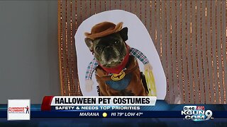 How to safely dress up your pet for Halloween