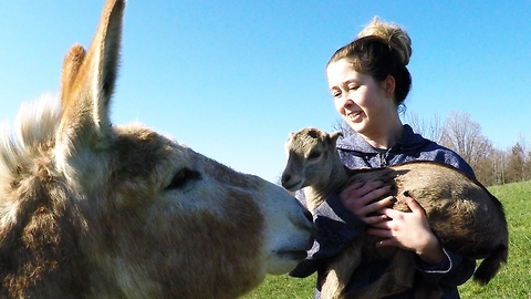 Unlikely Animal Duo Fall Instantly In Love