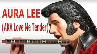How to Play Aura Lee on a Tremolo Harmonica with 24 Holes