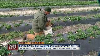 Local farms preparing for more cold weather in Hernando Co.