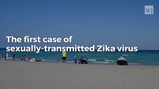 Miami Reports First Sexually Transmitted Zika case