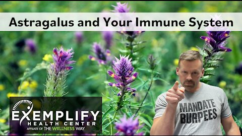 Astragalus, Inflammation, and Your Immune System