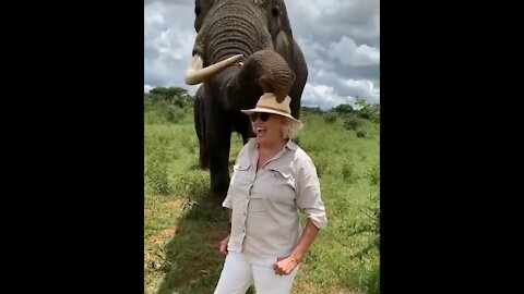 Elephant made the tourist's hat disappear 😂😃