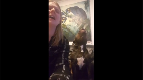 Owner Tries To Sing 'Chandelier' While Funny Dog Howls Along