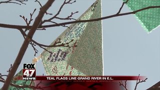 Teal flags hung in East Lansing