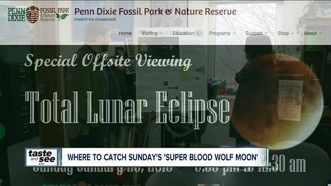 Where you can watch Sunday's 'super blood wolf moon' with the whole family