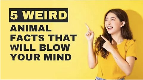 Weird Animal Facts That Will Blow Your Mind!