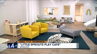 "Little Sprouts Play Cafe" to open in Mequon